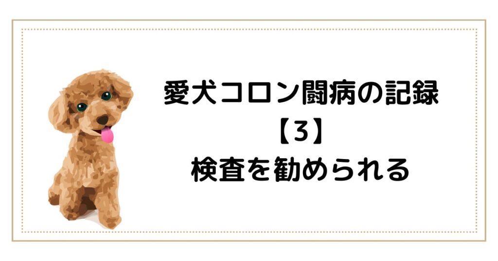 愛犬コロン闘病の記録 【3】 検査を勧められる